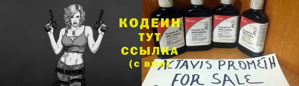 прущие крисы Корсаков