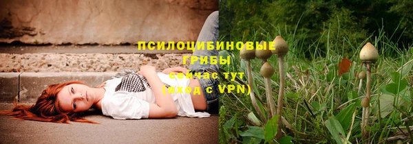 прущие крисы Корсаков